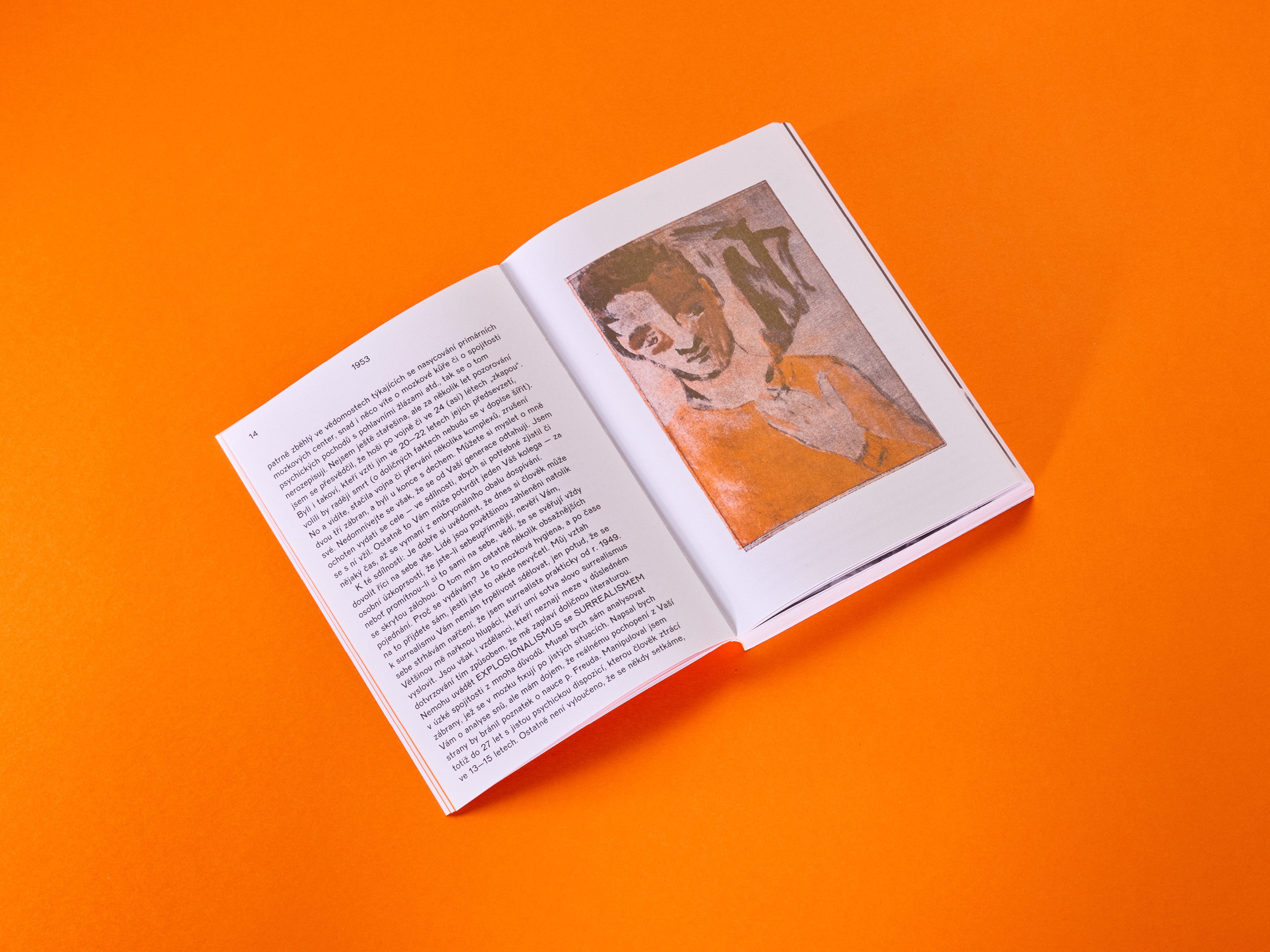 Obrázek: boudnik-1600x1200-web-ukazka-4