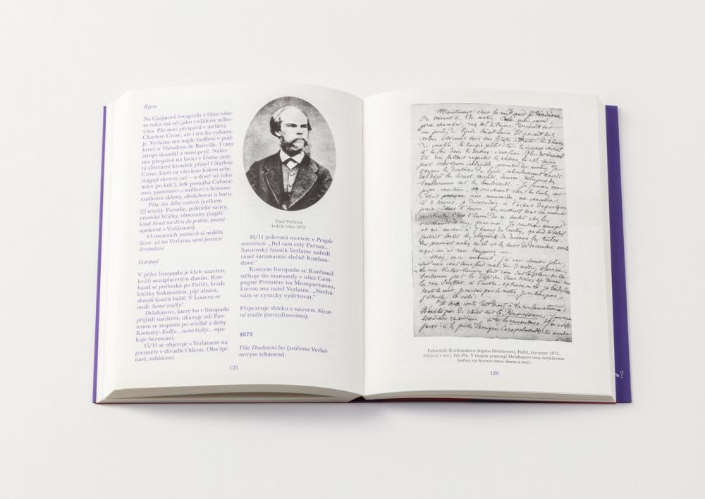 Obrázek: rimbaud-atd5479