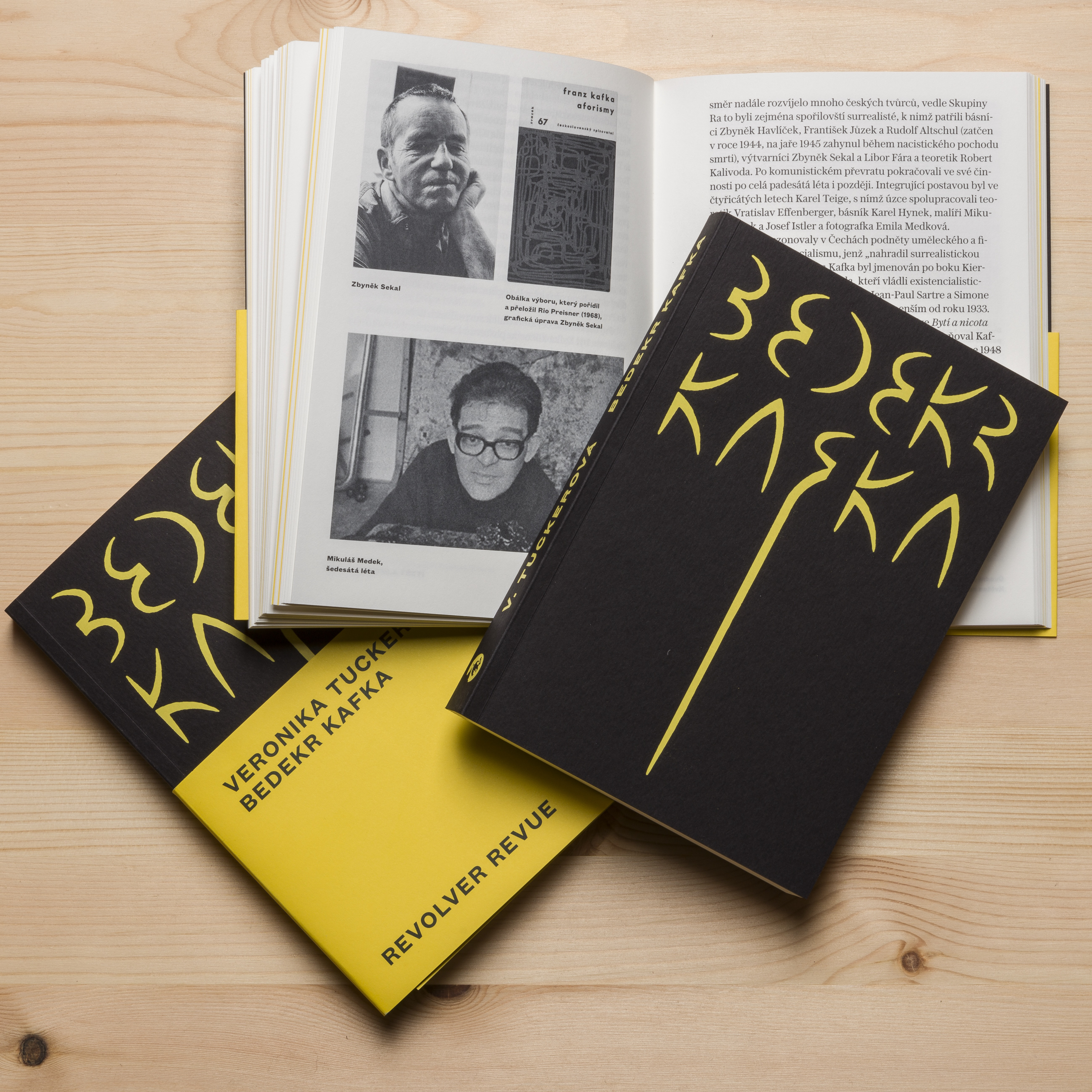 Obrázek: bedekr-kafka-05