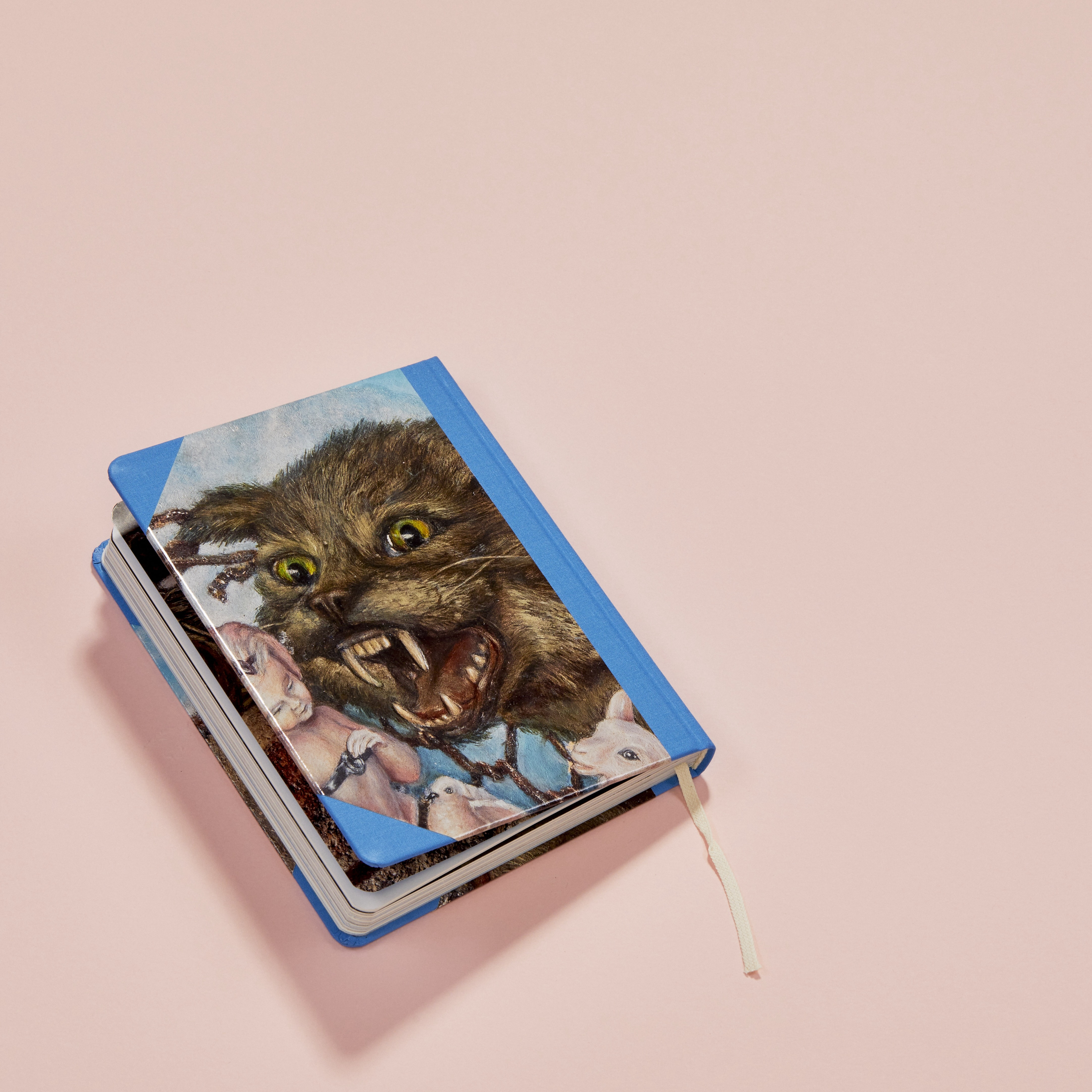 Obrázek: vera-novakova-zaznamy-6406