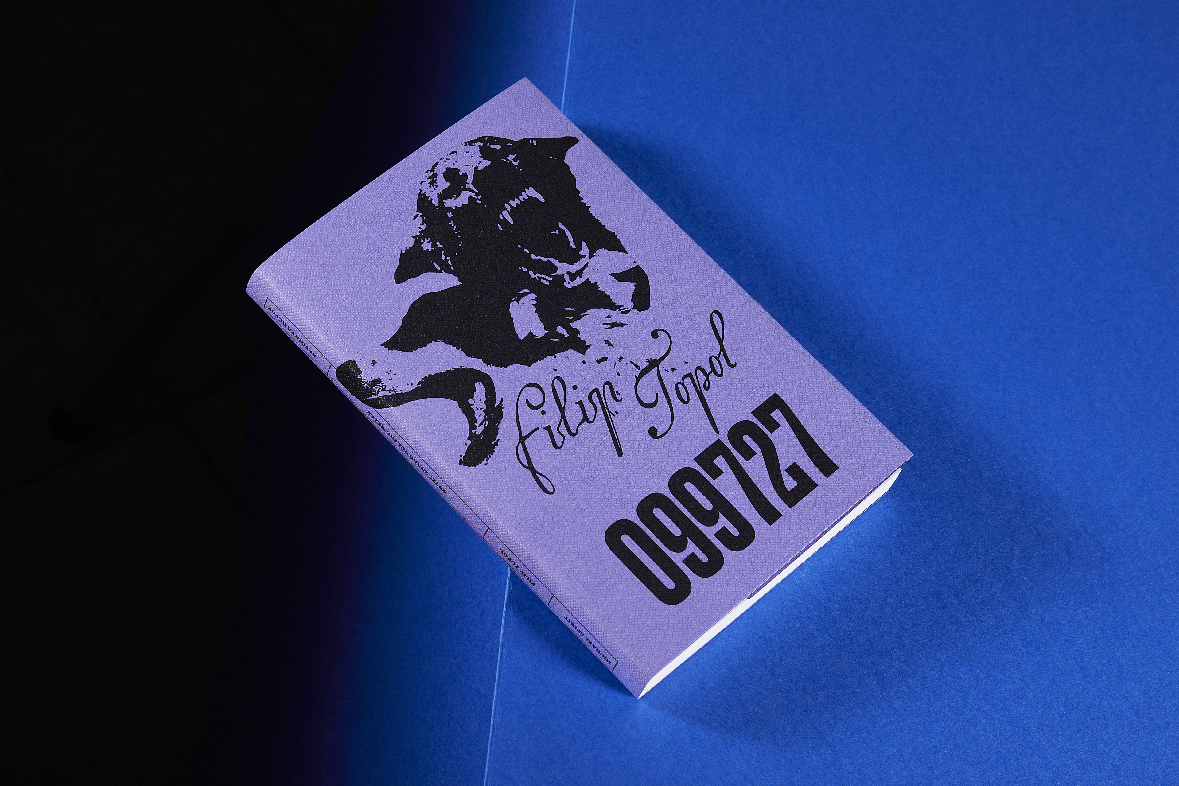 Obrázek: rr-filip-topol-8597
