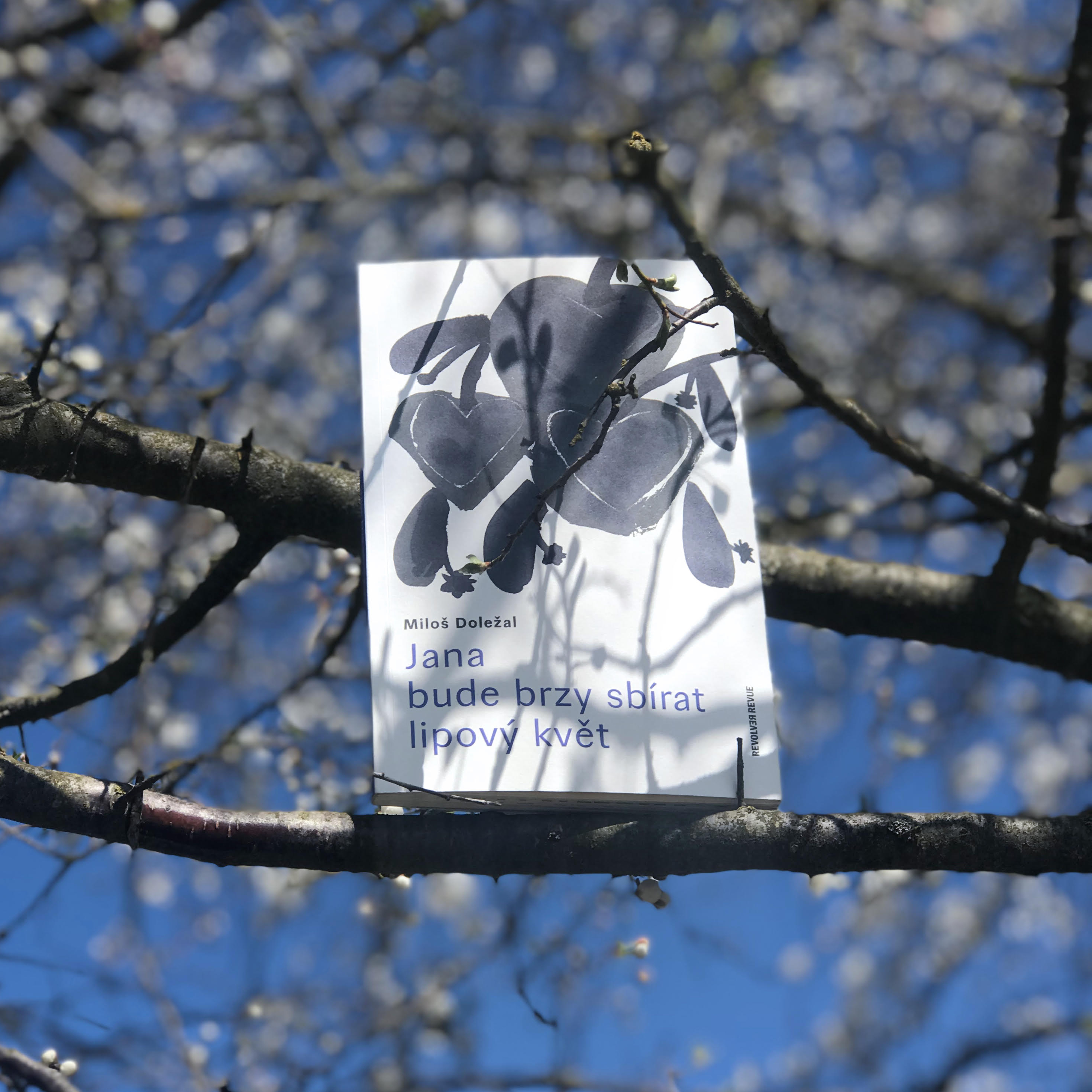 Obrázek: dolezal-foto-k-upoutavce