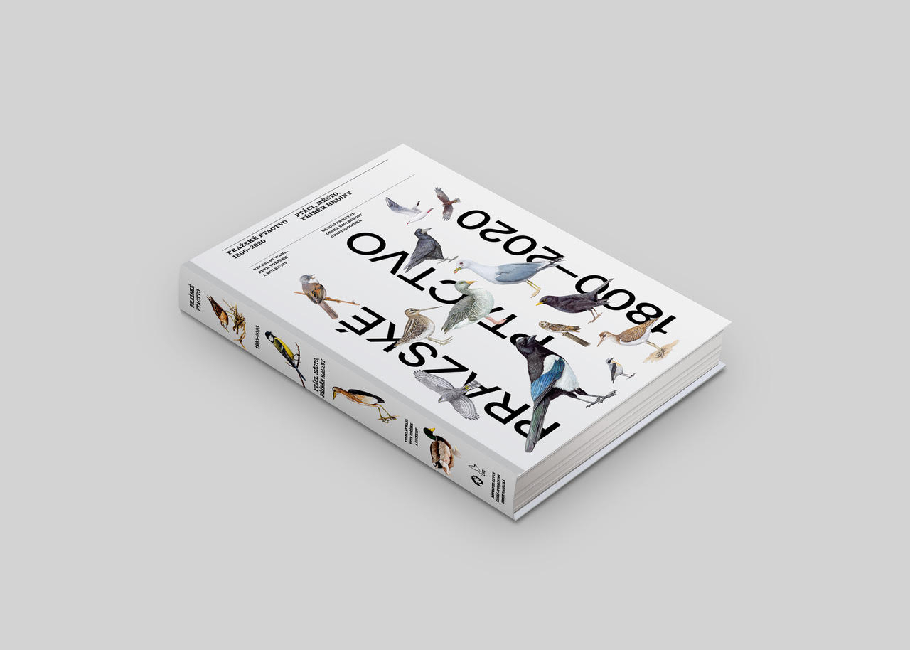 Obrázek: prazske-ptactvo-promo-foto