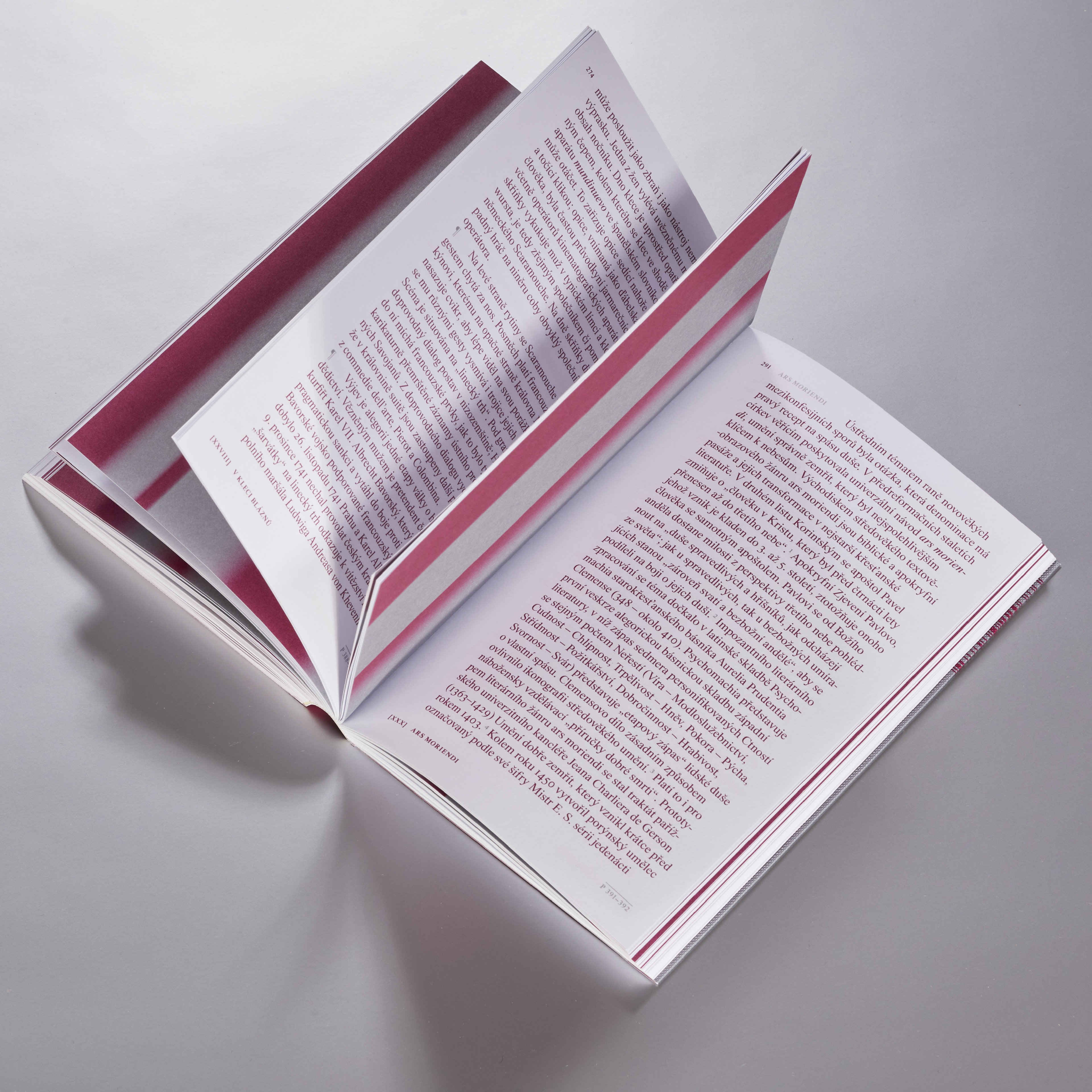 Obrázek: divacky-snu-ig-post6