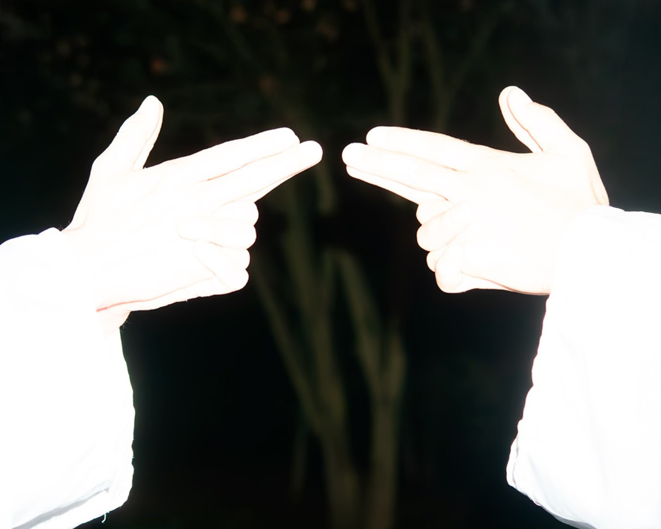 Obrázek: 558450786-1253497500149342-6035147221138743291-n