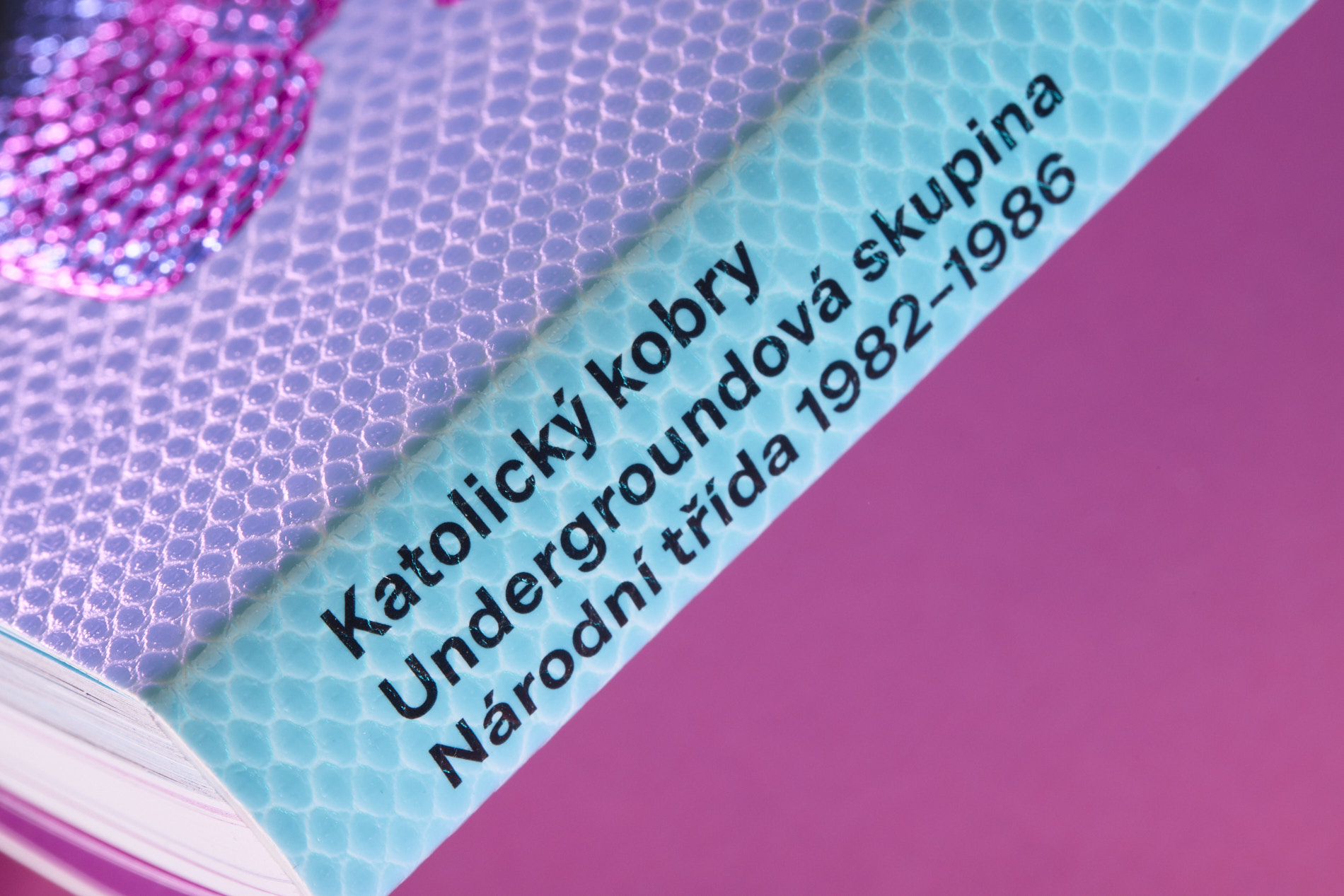 Obrázek: katolicky-kobry-18637