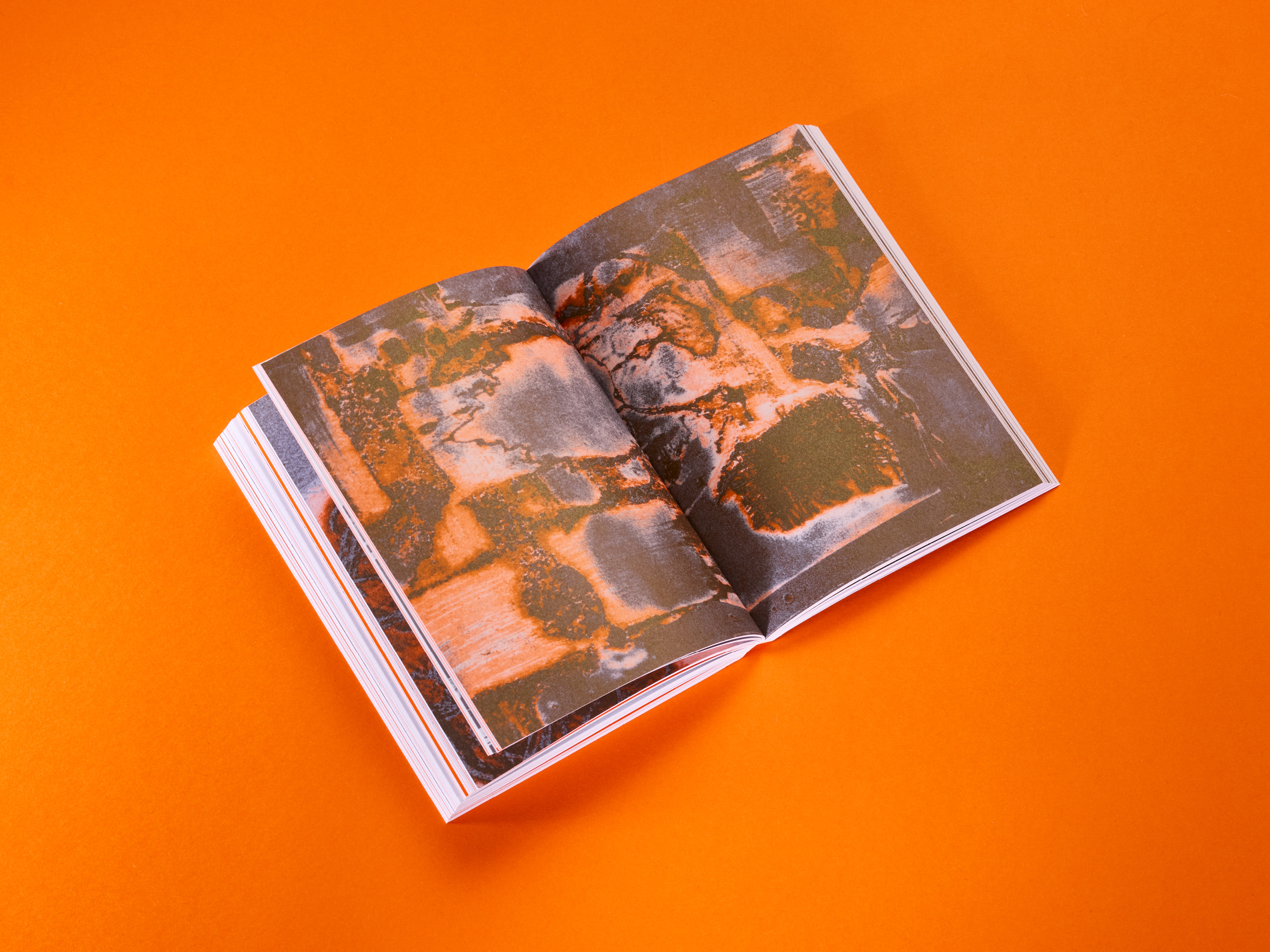 Obrázek: boudnik-1600x1200-web-ukazka-8