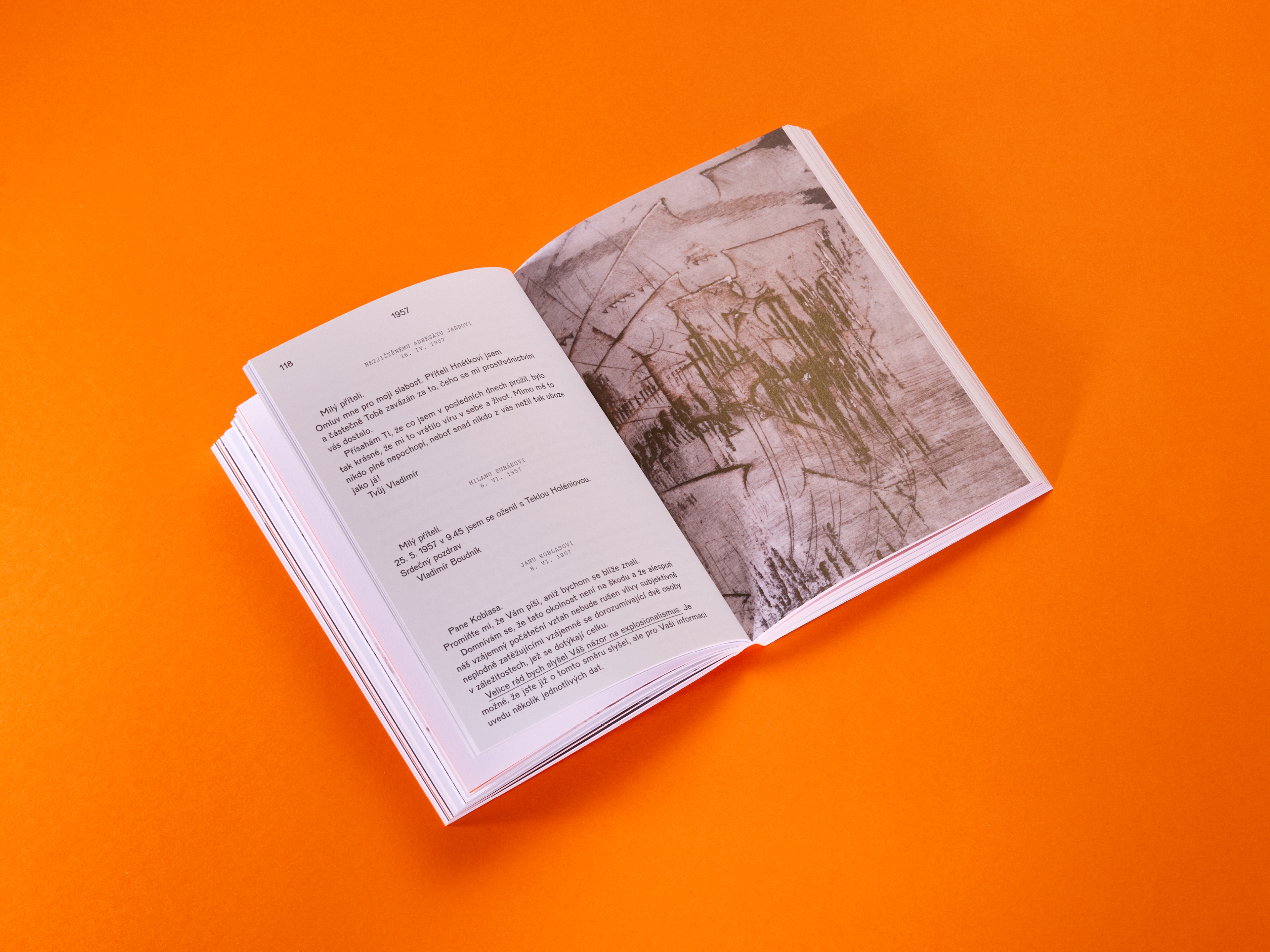 Obrázek: boudnik-1600x1200-web-ukazka-7