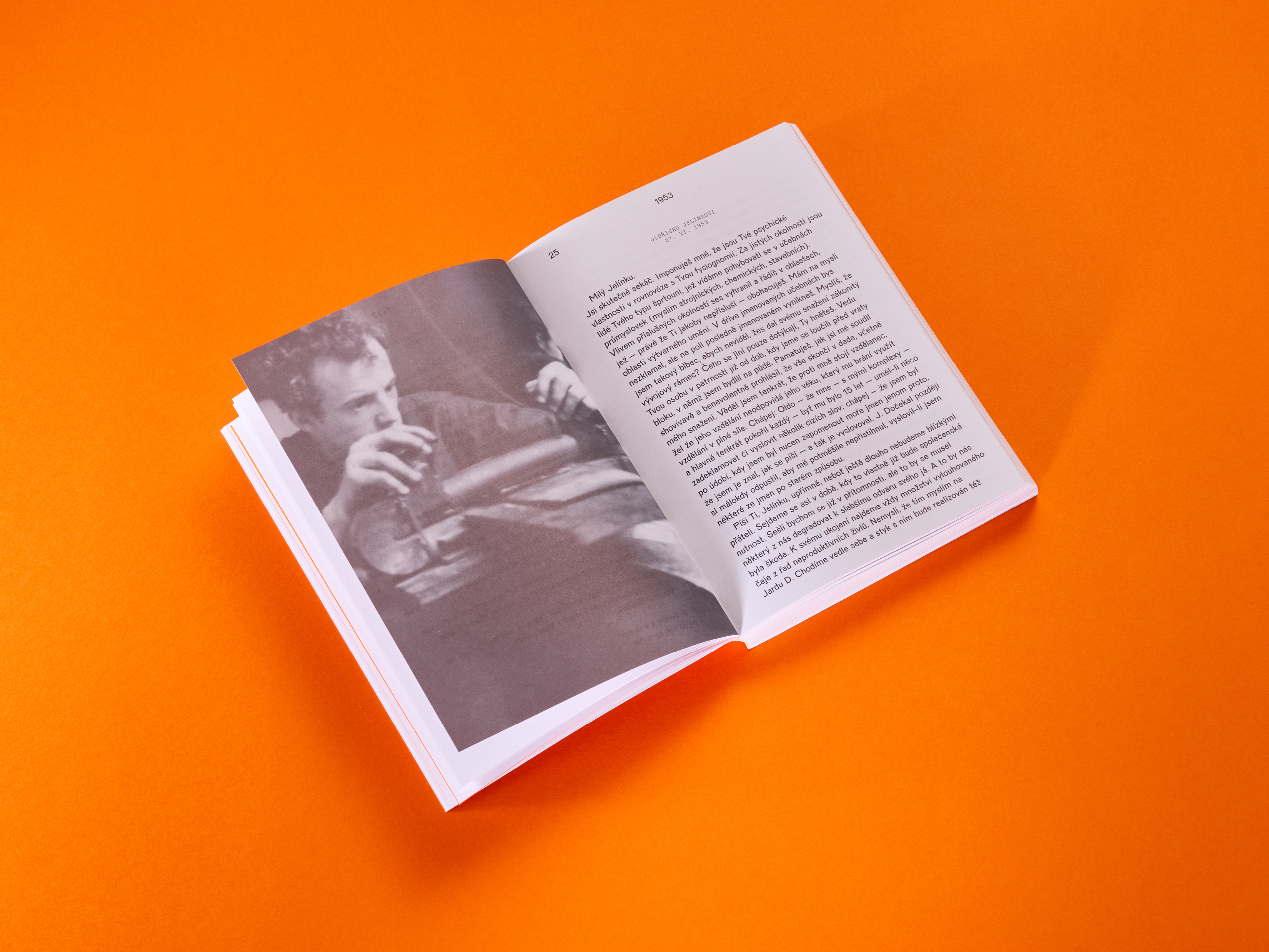 Obrázek: boudnik-1600x1200-web-ukazka-3