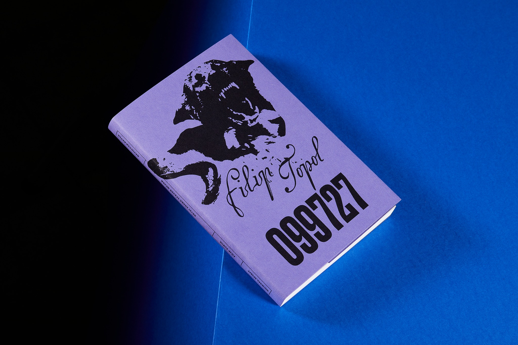 Obrázek: 668727956-1392191796279911-2419574011203448610-n