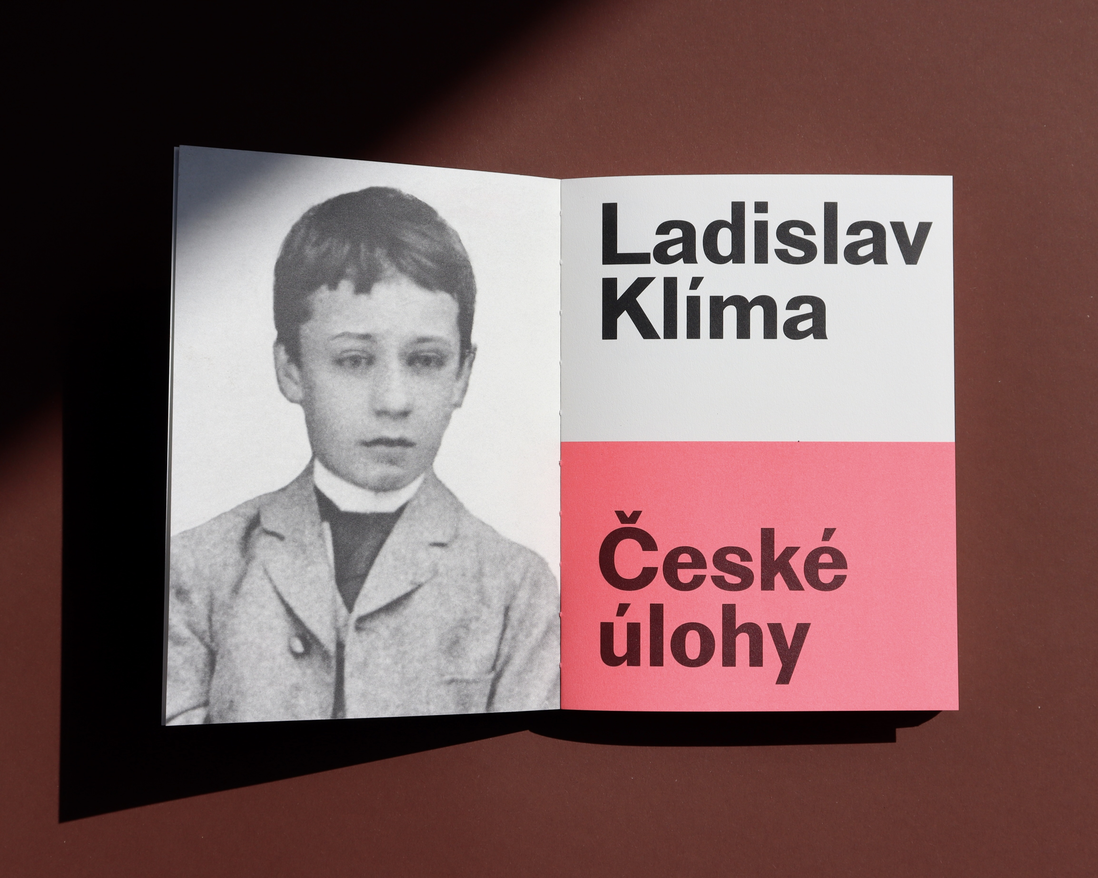 Obrázek: img-3078